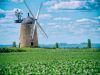 windmill in a field