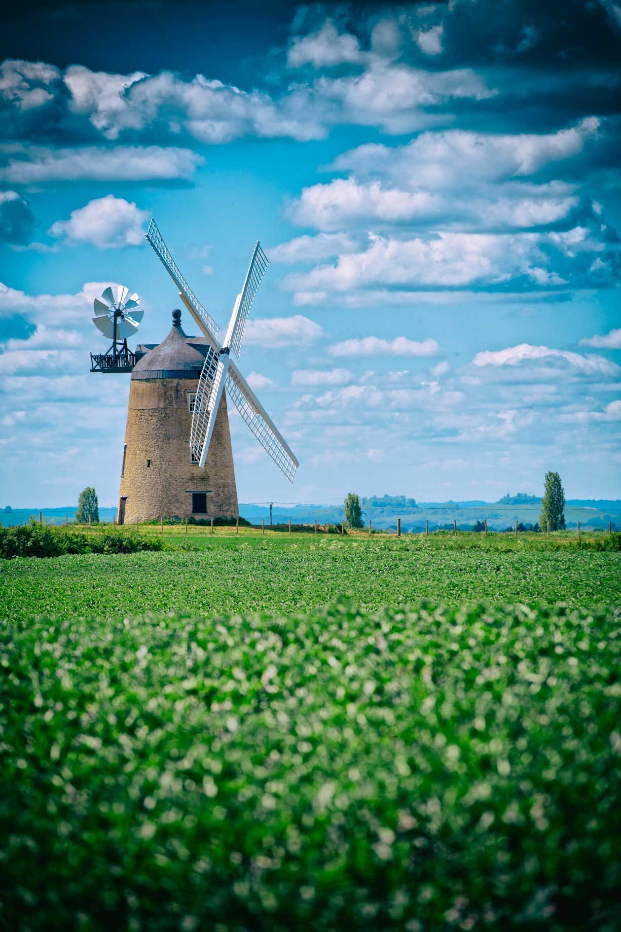 windmill in a field